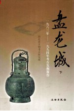 盘龙城  1963-1994年考古发掘报告  下