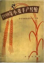 1959年小麦丰产经验