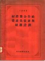 村消费合作社资产负债表与财务计划