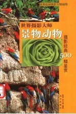 世界摄影大师景物动物摄影经典500幅鉴赏 下