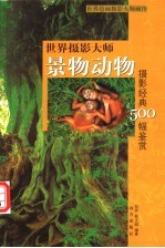 世界摄影大师景物动物摄影经典500幅鉴赏 上