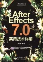 After Effects 7.0实用技术详解