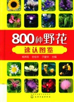 800种野花速认图鉴