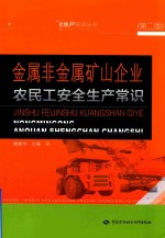 高危行业农民工安全生产培训丛书 金属非金属矿山企业农民工安全生产常识 第2版