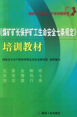 《煤矿矿长保护矿工生命安全七条规定》培训教材