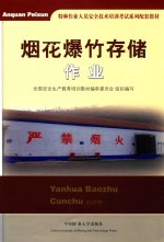 特种作业人员安全技术培训考试系列配套教材 烟花爆竹存储作业