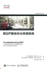 BGP路由协议排错指南