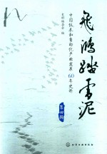 飞鸿踏雪泥 中国仪表好自动化产业发展60年史料 第4辑