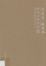 凌苍茫·瞰紫微 陕西古塔实录 宋（金）元时期