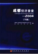 成都经济普查 2004 下