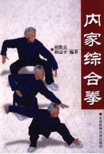 内家综合拳