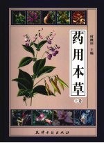 药用本草 上