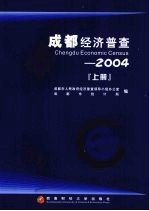 成都经济普查 2004 上