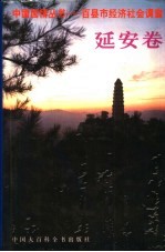 百县市经济社会调查 延安卷