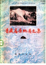 青藏高原地质文集 15 岩石、构造地质