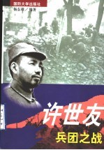 许世友兵团之战