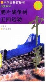 中华全景百卷书-历史系列-鸦片战争到五四运动 10