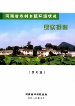 河南省农村乡镇环境状况 纪实摄影 信阳篇