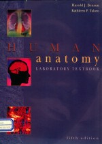 Human anatomy : laboratory textbook fifth edition