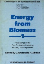 Energy form biomasss