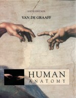 Human anatomy sixth edition