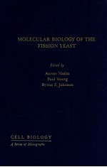 moleccular biology of the fission yeast