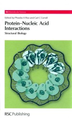 Protein-nucleic acid interactions structural biology