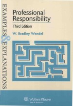 PROFESSIONAL RESPONSIBILITY THIRD EDITION