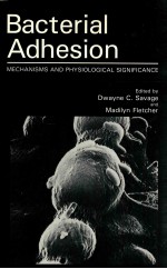 bacterial adhesion mechanisms and physiological significance