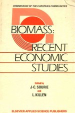 Biomass recent economic studies