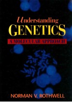 Understanding genetics : a molecular approach