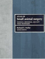 ATLAS OF SMALL ANIMAL SURGERY SECOND EDITION