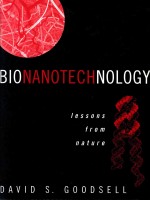 Bionanotechnology : lessons from nature