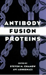 Antibody Fusion Proteins