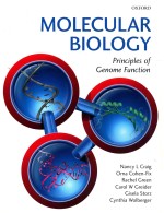 Molecular biology : principles of genome function