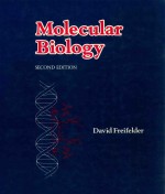 Molecular biology second edition