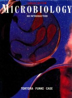 Microbiology : an introduction fourth edition