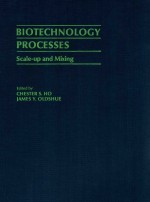 Biotechnology processes scale-up and mixing