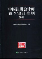 中国注册会计师独立审计准则 2002