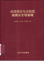 分层理论与非线性偏微分方程基础