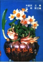 漳州水仙花