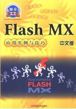 Flash MX中文版应用实例与技巧