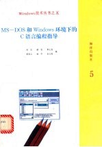 Ms-Dos和Windows环境下的C语言编程指导