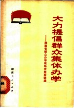 大力提倡群众集体办学 湖南省群众办学现场会经验选编