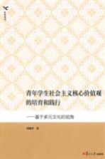 青年学生社会主义核心价值观的培育和践行 基于多元文化的视角