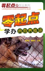 零起点学办肉狗养殖场