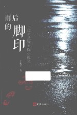 雨后的脚印  王建幸悬疑侦探小说集