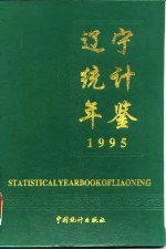 辽宁经济统计年鉴 1995