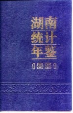 湖南统计年鉴 1991