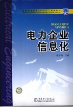 电力企业信息化